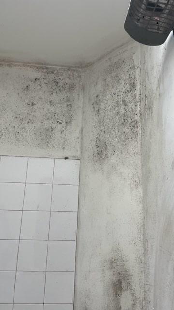 Mur avec moisissures dans une salle de bain